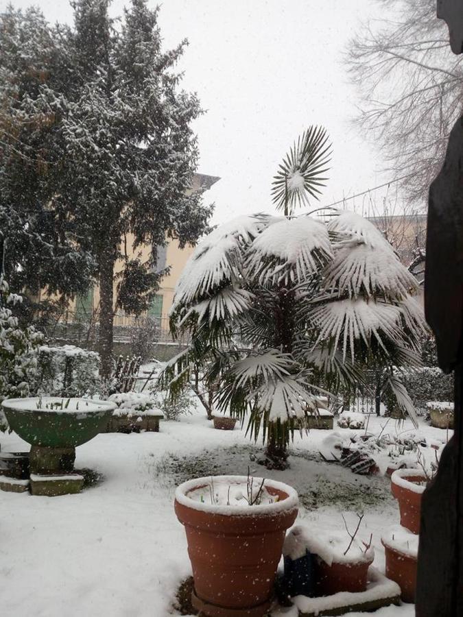 B&B Delle Arti Крема Екстериор снимка