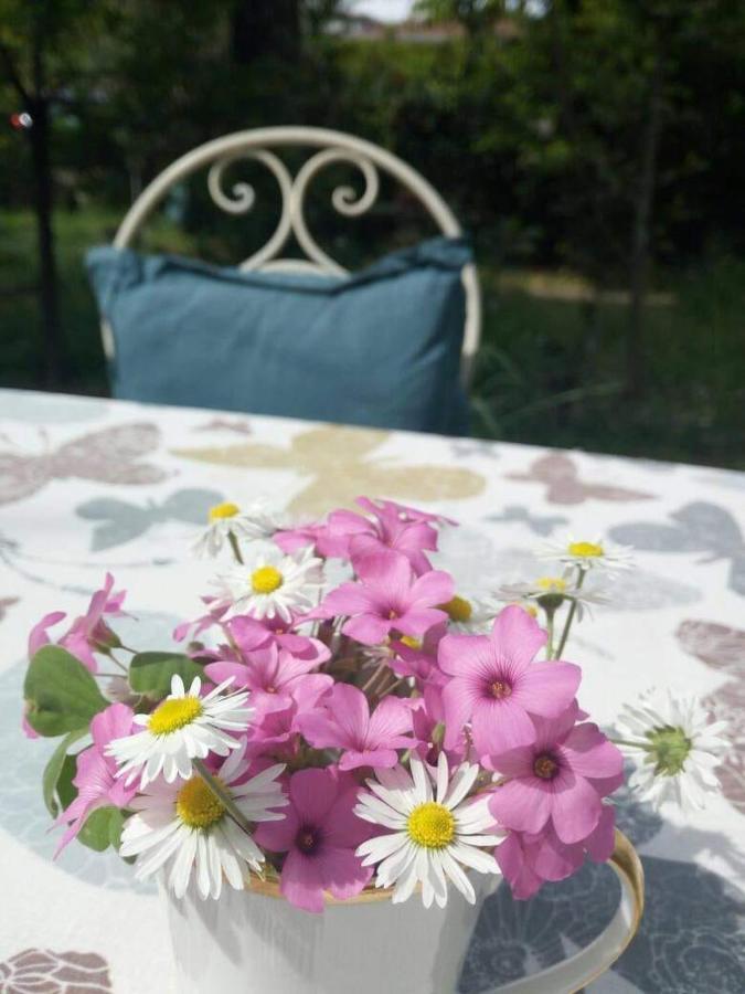 B&B Delle Arti Крема Екстериор снимка